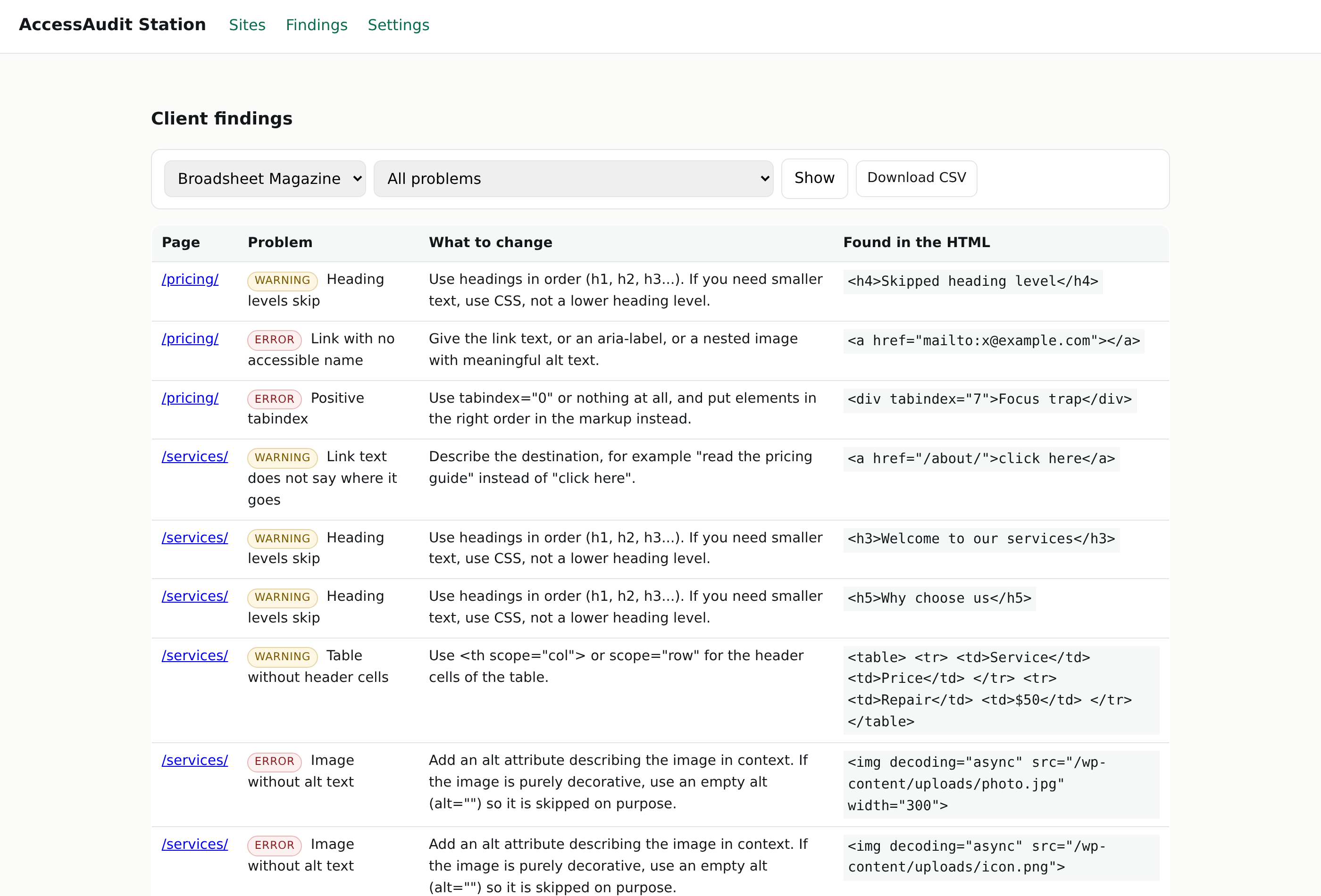 The findings screen: a table listing each problem, the page it is on, the plain-language fix, and the exact snippet of HTML responsible.